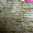 잘생한의원 | 다이어트 한약 복용 후기 14일차 -3kg 체중감량 다이어트한의원 방문기