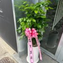 GY모터스 이미지