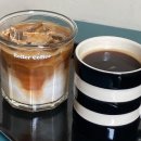 대구반려동물사업협동조합 | [대구 중구] 마에스트로 현대백화점 더현대 대구