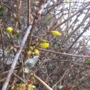 약산가든 이미지