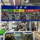 선희네수산 | <목포맛집> 목포 북항회센터 선희네횟집 가격 및 후기