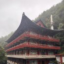 단풍스테이 | 10월 단풍 구인사 템플스테이 체험형 후기