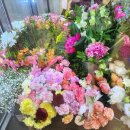 FLOPORT