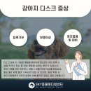 용인죽전 24시 스카이동물메디컬센터 이미지