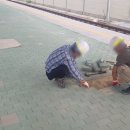 에스디이엔씨