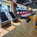 목간 피트니스 이미지