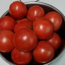 토마토화장품 네이버블로그