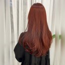 공작미용실 이미지