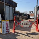 오리농장 이미지