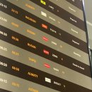 성찬농장 | [푸꾸옥] 가족과 3박5일 패키지 여행 마지막날 (25.11.6~11.10)