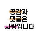 양동손칼국수 이미지
