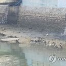 하천(금강2) 이미지