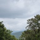 샘물상회 이미지