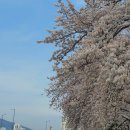 신아부동산중개법인㈜사무소 | [2] 소속공인중개사 면접 후기