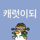 청춘은 섬광이다