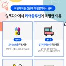 K-아트홀(태권도공연장) 이미지