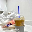 이디야태백 이미지