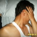 채형농장 Daum카페