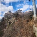 아름다운애견세상 | 배타고 제주도&amp;목포애견동반 여행 3박4일 &amp; 목포맛집투어 후기 4일차 _ 목포편❤️