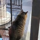 (주)장하다옹기마을 | 동두천 가볼만한 곳 한국 일본마을 니지모리 스튜디오 숙박 어디?