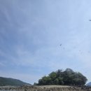 앵강만