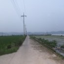 안심2농로 이미지