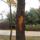 참나무공원 화장실 이미지