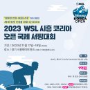 2023 WSL 시흥 코리아 오픈 국제 서핑대회 이미지