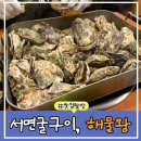 해물구이 | 굴 제철이라 다녀온 서면 해물왕 서면 굴구이 솔직후기 내돈내산