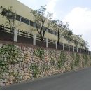 신우엘에스 이미지