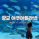 이마트24 광교포레나점 | 광교 아쿠아플라넷 물멍데이 아이와 실내 가볼만한곳 할인 주차 쿠폰 후기