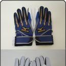 주광진
