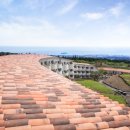 이에스제주리조트 이미지