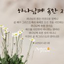 네일서하