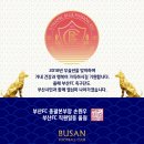 부산에프씨 Daum카페