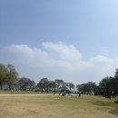 중앙탑공원 네이버블로그