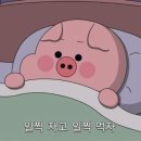라파테 이미지