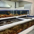 안림LG아파트 정문앞 | [부산]연산동 대게가 키로에 2만9천원 동백대게수산 포장 후기
