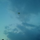 디자인홀릭 - 금천구 디지털로 121 | 디자인홀릭
