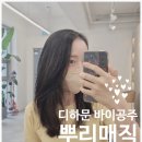압구정로데오 미용실 / 디하문 바이공주 에서 뿌리매직 !