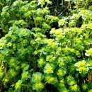 운정리마을회관 이미지