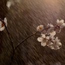 현대계량시스템 이미지