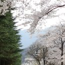 금오산로2-2 이미지