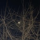 세무법인동인 이미지