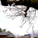 신암면038 티스토리