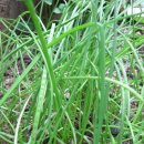 종근목장 이미지