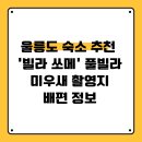 풀빌라이유민박 | 울릉도 숙소 추천 &#39;빌라 쏘메&#39; 풀빌라·미우새 촬영지·배편 정보