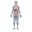 바른숨한의원 이미지