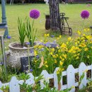 호반 정원 이미지