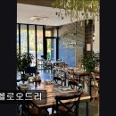 석운로202번길 | 경기 분당 맛집 추천! 헬로오드리 헬로오드리, 분위기 좋은 레스토랑